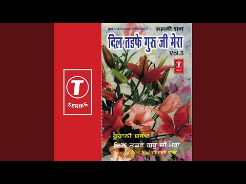 Meri Khul Gai Patak Deni Ankh