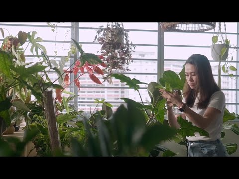 Brand 29 — watch on YouTube