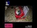 How To Make A Electronic Car At Home AR Maker