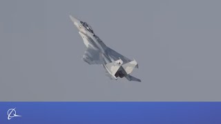 F-15QA Dubai Airshow Flying Display