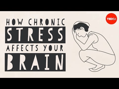 Screenshot of video: How chronic stress can affect the brain