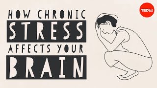 Madhumita Murgia & Addison Anderson - How Stress Affects Your Brain