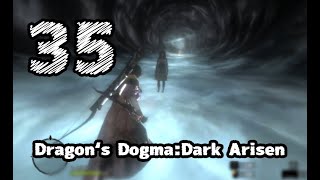 #35【Dragon's Dogma: Dark Arisen】最後に会う者は【左腕のボスぬこ】