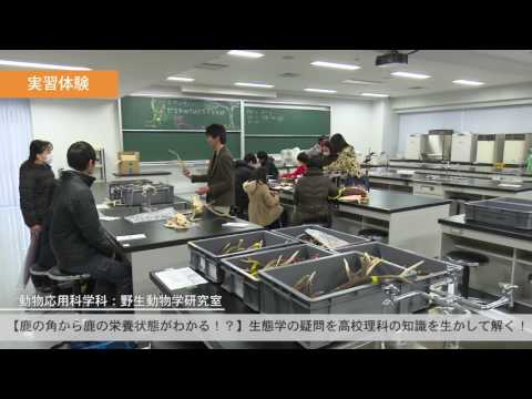麻布大学 ミニ・オープンキャンパス2017年・春