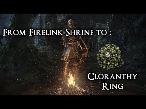 Cloranthy Ring Ds1