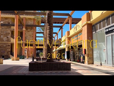 2 idiots go on vacation 