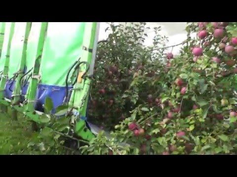 OE-4 Industrie-Fruit-Harvester (Apple, Pears, Sherry etc) continue driving and harvesting system