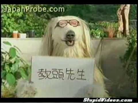 WilfEdwards’s Video 46972908355 Wv06_W3Y8qg