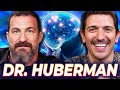 Neuroscientist Dr Huberman On Foot Fetishes Drugs And NoFap