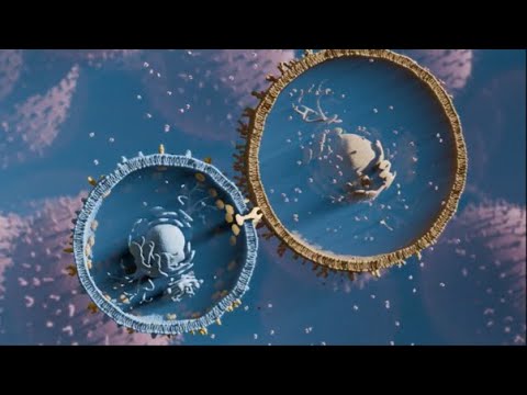 A new therapeutic payload delivery system - beyond AAV, VLPs and LNPs