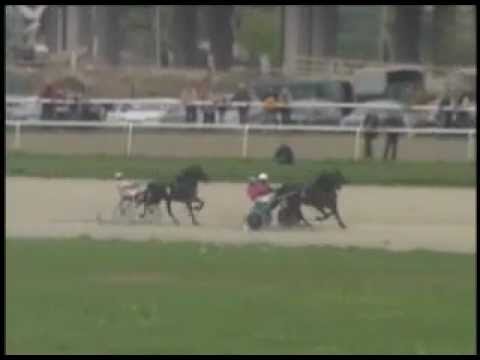 Hipodrom Beograd . trka DENDI(od 300 do 1000 bodova)