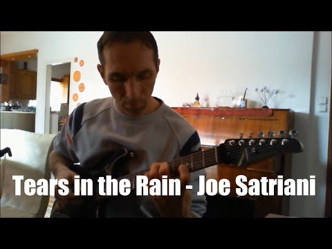 Tears in the Rain - Joe Satriani (by Dimitris Ntais)