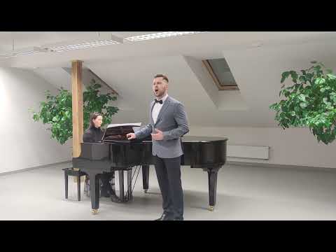 Algimantas Raudonikis - Švelnumas