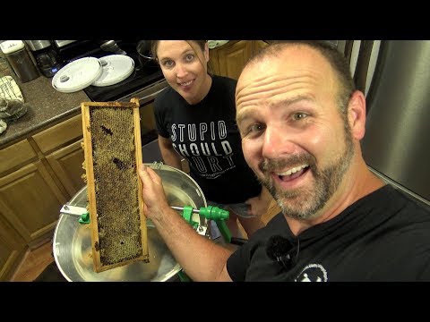 Extracting the spring honey harvest....Fun and Educational! How small farms harvest honey!