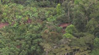 Unkontaktierte Amazonas-Indianer: Erste Luftaufnahmen