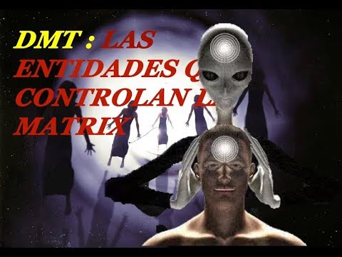 🔴El DMT Y Los que te esperan al otro lado....