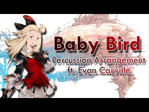 Baby Bird (Bravely Default Percussion Arrangement - ft. Evan Carville)