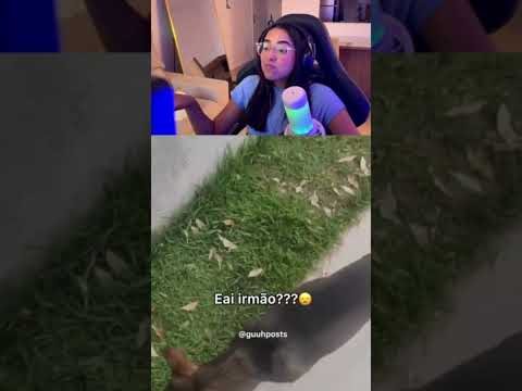 ele comeu a bosta vey