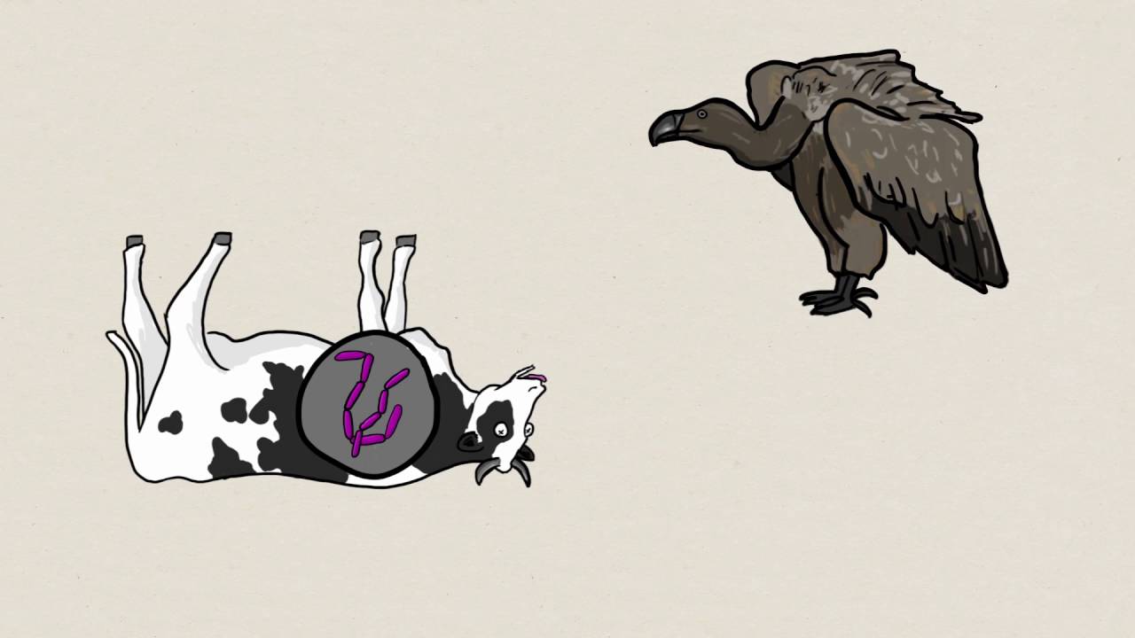 Valoração dos Serviços Ecossistêmicos: Classe de Valores