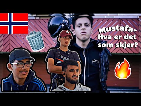 TRASH OR FIRE?! Reacting Til Mustafa - "Hva er Det Som Skjer?" [OFFISIELL MUSIKKVIDEO]: YLTV