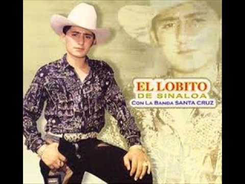 El Lobito De Sinaloa - Dinero Manchado