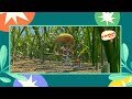 A Bug S Life Episode 2 Bangla Cartoon