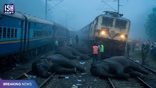 Train Hits Elephant Herd in Assam, 7–8 Elephants Killed