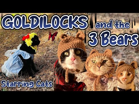GOLDILOCKS and the 3 BEARS with CATS! 🐈Funny Cat Video