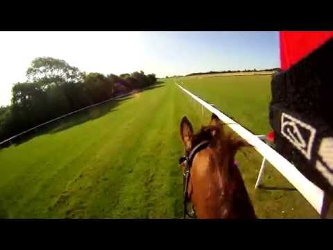 Ride the Qatar Sussex Stakes