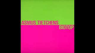 Asmus Tietchens - Rauschlinge