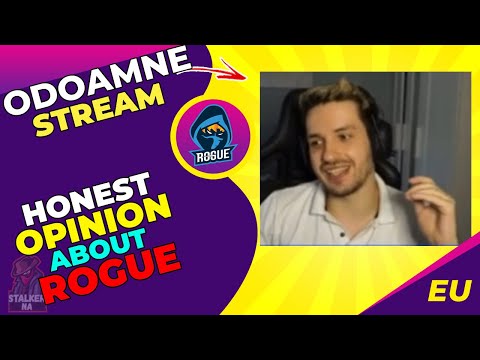 RGE Odoamne Honest Opinion on ROGUE