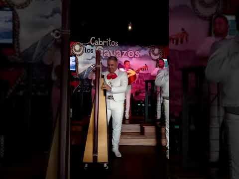 Promotional video thumbnail 9 for Mariachi Arraigo de America