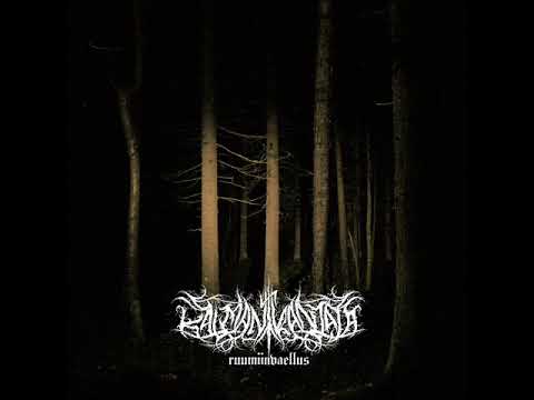 ▶︎  Kalmankantaja - Ruumiinvaellus (single)