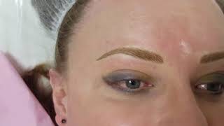 Blonde Eyebrows Microblading by El Truchan @ Perfect Definition