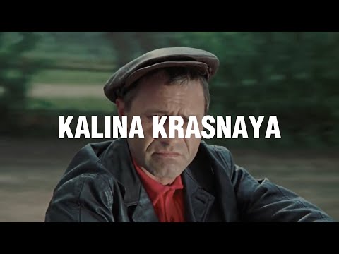 Literally me | Kalina krasnaya