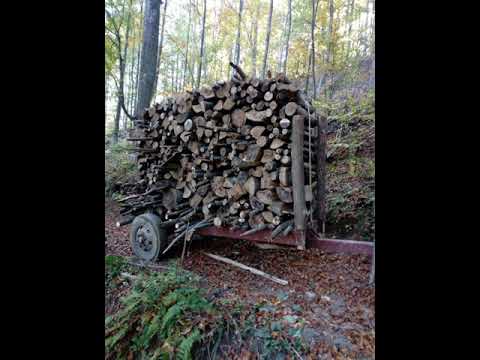 Braca Dmitrovic Tolisnica