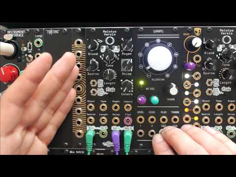 Noise engineering Polydactyl Versio sound demo W. Kick