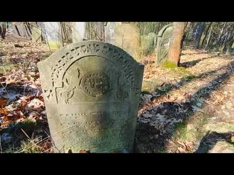 Cmentarz żydowski w Niezdrowicach - Tajemniczy świat ruin