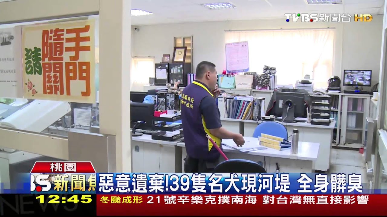 惡意遺棄！39隻名犬現河堤　全身髒臭