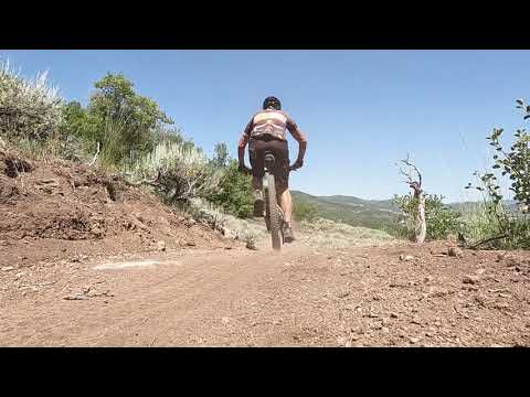 Beep Beep to Road Runner
