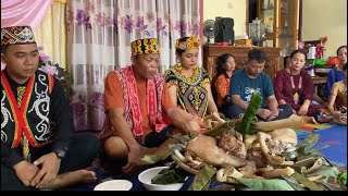 Download lagu Ngadap Buis Upacara Pernikahan Adat Dayak Kanayatn, Guruh dan Olin mp3