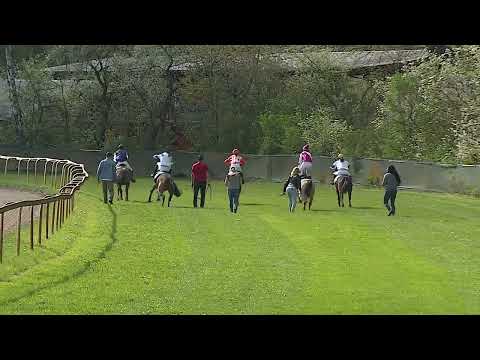 Dostihy Lysá nad Labem 1. 5. 2023 - Pony liga Akraz bezpečnostní agentura - 3. oddělení