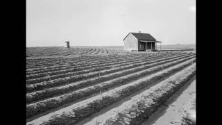 Worked Up Field (cover)