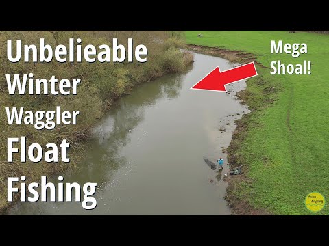 DREAM FISHING - UNBELIEVABLE Winter Float Fishing - Best River Avon Session? - 25/11/25 (Video 615)
