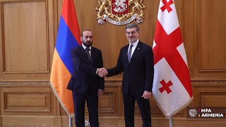 Встреча министра иностранных дел Армении с президентом Грузии