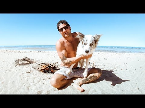 CAMPFIRE STORY PUPPY STRYDA DOG Crayfish Catch And Cook (Manta Rays) - Ep 102