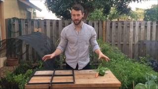Plant Spacing in a Raised Garden Bed. How to Do it Right! - Easy Growing Episode #11