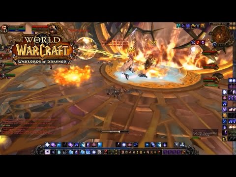 Oberster Weiser Viryx - Guide (Himmelsnadel)