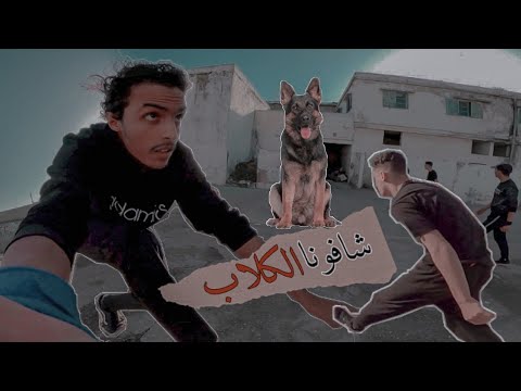 دخلنا لنستكشف مكانا مهجورا | رأتنا الكلاب و بدأت تنبح 😨 (المغامرة رقم 5)
