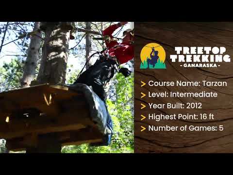 Treetop Trekking Ganaraska | Tarzan Course Tour